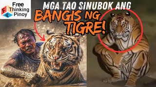 TIGER 101  Mga Bagay na Hindi MO ALAM tungkol sa Tiger [upl. by Park228]