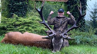 Hjortejagt i Polen  Redstag Hunting in Poland  Hirschjagd in Polen 4K [upl. by Austin]