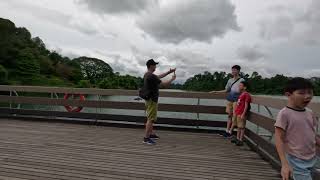 Singapore Macritchie Reservoir Walk [upl. by Niddala]