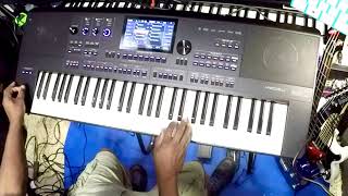 Kris Nicholson Test Drives The Medeli AKX10 Arranger Workstation Keyboard [upl. by Jehiel19]