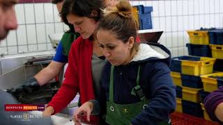 2017 Vintage Hospices de Beaune  Interview Ludivine Griveau by HospicesBeaunecom [upl. by Eldnik]