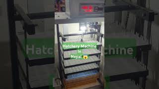 Hatchery Machine in Nepal  Wow  😱 [upl. by Samuelson]