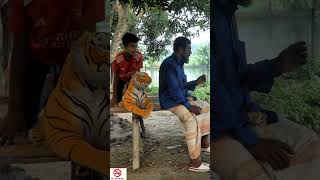 TOP FUNNIEST FAKE TIGER IN BRAZIL 🤓 Part11 shorts trending funny comedy [upl. by Reggi]