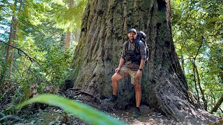 Backpacking Tall Trees Grove and Redwood Creek a CA redwood trail [upl. by Godiva998]