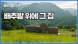 배추밭 경사 깎지 않고 그대로 집을 지어 금당산을 품었다 동양화 한폭을 품은 듯한 유포리주택│건축탐구 집│골라듄다큐 [upl. by Erde]