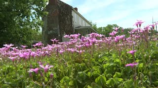 This historic building in Hopewells Black community is coming back to life [upl. by Lothair]