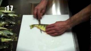 Fillet Perch in 45 SECONDS [upl. by Newkirk]