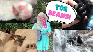 Toe Beans [upl. by Waldman]