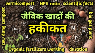 Organic farming secrets different fertilizers npk value when amp how to useagriinfo [upl. by Rex]