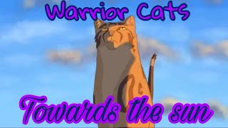 13 Warrior Cats Animator Tribute Towards The Sun [upl. by On696]