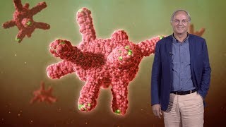 Hans Clevers Hubrecht I UU 1 Discovery and Characterization of Adult Stem Cells in the Gut [upl. by Marjory648]