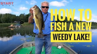 How to fish a new weedy lake [upl. by Linker]