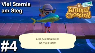 Schnell Sternis verdienen am Steg mit Muschelköder  Animal Crossing New Horizons 4  Deutsch [upl. by Iznil]