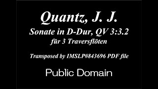 Quantz J J  Trio Sonata DDur QV 332 3 Trv [upl. by Paterson]