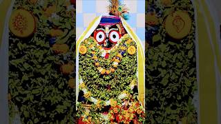 Jagannath Swami nahin na pata Gani nirvachan music song jay shyam jay ⭕❗⭕💐🛐🏵️2710240800 [upl. by Notrub529]