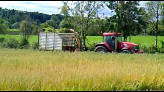 Cutting Whole Crop Silage [upl. by Maril]