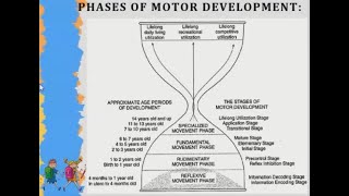 Gross Motor Development according to Gallahues Hourglass Model [upl. by Ettennat722]