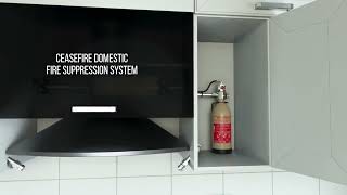 Ceasefire Domestic Kitchen Suppression Systems Wet Chemical Kitchen Suppression System  Overview [upl. by Nile]