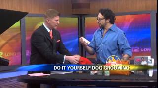 Jorge Bendersky on Animal Island to Launch quotDIY Dog Groomingquot Book [upl. by Thistle]