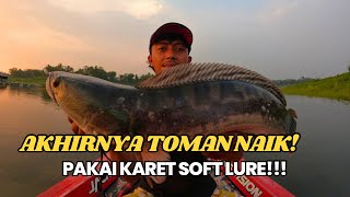 MELIHAT ADA IKAN DIMAKAN TOMAN‼️ AKHIRNYA KITA PANCING PAKAI UMPAN KARET LAGI‼️ [upl. by Yirinec]