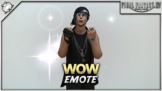 FFXIV  Wow Emote [upl. by Asilahs]