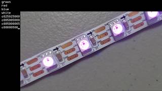 Ethernet Controlled Neopixels using an Arduino Uno and C [upl. by Deehahs495]