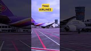 THAI AIRLINES foryou viral video travel travel trending freefire freefire fyp food [upl. by Paz]