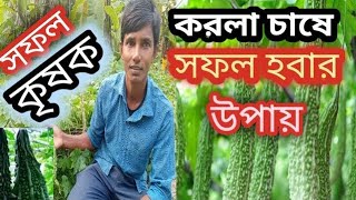 quotকরলা চাষে সফল হওয়ার উপায় প্রাথমিক থেকে উন্নত কৌশলquot [upl. by Leaper]