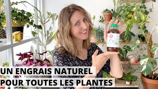 🌿 UN ENGRAIS NATUREL UTILISABLE TOUTE LANNÉE POUR TOUTES LES PLANTES  CEST POSSIBLE [upl. by Orvas]