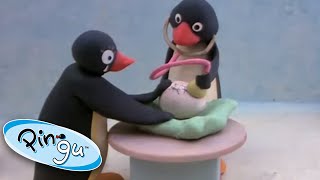 Pinga is Born  Pingu Official  1 Hour  Cartoons for Kids [upl. by Rumit]