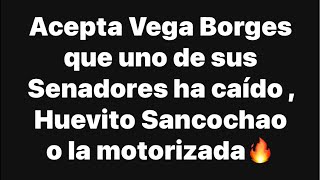 Acepta Vega Borges que uno de sus Senadores ha caído y niegan contar votos [upl. by Yolane494]