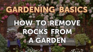 How to Remove Rocks From a Garden [upl. by Htilil]