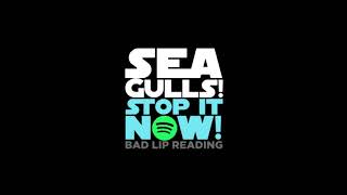 Seagulls Stop It Now Official Audio Version  Bad Lip Reading [upl. by Whitby]