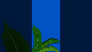 Banana Leaves Animation  Tropical Overlay Effects [upl. by Ahcsat480]