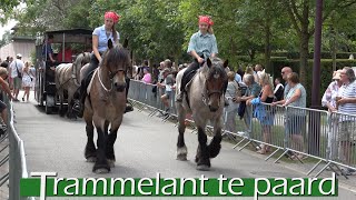 trammelant zonder tram in de haan [upl. by Onitnas]