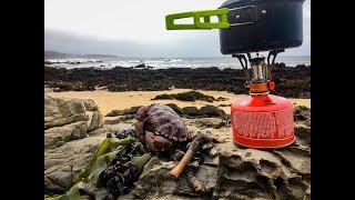 Coastal foraging Making seafood chowder  weird giant sea creature [upl. by Ennaeiluj]