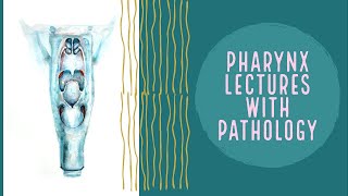 PHARYNX lecture 7 JUVENILE ANGIOFIBROMA benign tumor of nasopharynx [upl. by Eissat227]