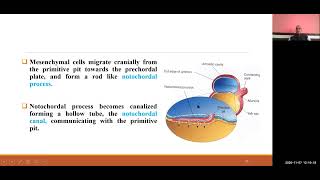 BDS I 404 I ORTHODONTICS I Growth and development of craniofacial region Embryology I DR R P MAURYA [upl. by Bausch]