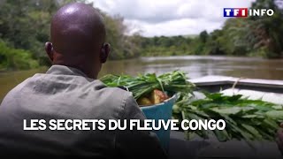 À la découverte des secrets du fleuve Congo [upl. by Gnanmas]