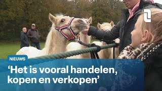 Traditie in Lottum paardenmarkt op elfde van de elfde  L1 Nieuws [upl. by Devlin]