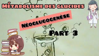 Métabolisme des glucides  néoglucogenèse part 3 [upl. by Ynatsed]