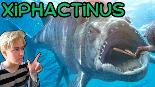 The Cretaceous Monster Fish Xiphactinus [upl. by Sparhawk928]