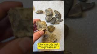 From Rough to Refined Transforming Backyard Rocks into Polished Flint [upl. by Keung]