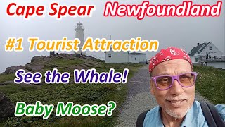 Travel Canada  Cape Spear Newfoundland See the Most Eastern Point in the Americas [upl. by Tali]