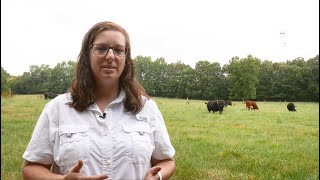 How to Control Pasture Weeds [upl. by Natale83]