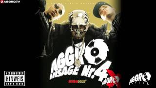 FLER  NEUE DEUTSCHE WELLE  AGGRO ANSAGE NR 4X  ALBUM  TRACK 02 [upl. by Cecilla]