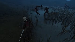 The Witcher 3 Wild Hunt pt137The Final Trial pt1 [upl. by Nixie205]