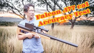 FALCON AIR RIFLEAGI FALCONFALCON AIR RIFLE ACCURACY TEST [upl. by Yvaht]