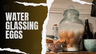 How To Water Glass Eggs [upl. by Ettenej]