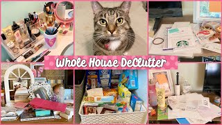 Hoarders ❤️ Whole House DeClutter  Mega Motivation  Start Where You Are [upl. by Dash]